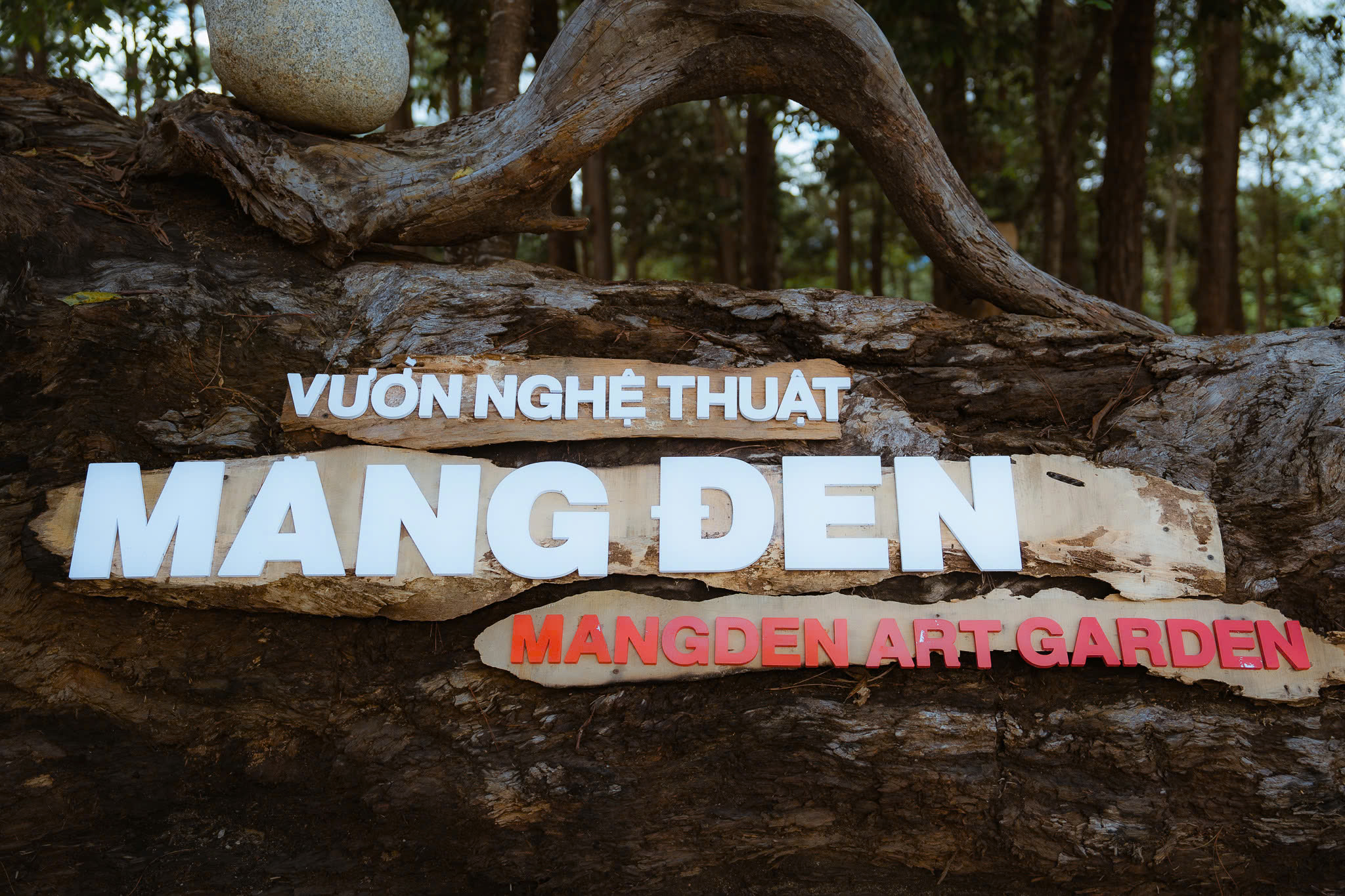 Vườn tượng Măng Đen